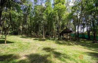Chácara à venda, 20180 m² por r$ 690.000,00 - popular nova - campo largo/pr