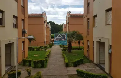 Apartamento para venda  no bairro passo das pedras em gravataí