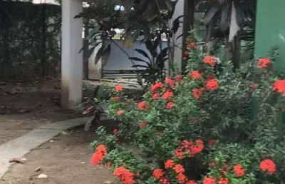 Terreno para venda em salvador, caminho das árvores , 1 dormitório, 1 banheiro, 6 vagas