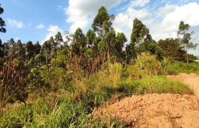 Ponto comercial à venda na Avenida João Casarotto, 2200, Laranjeiras, Caieiras