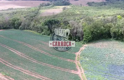 Chácara / sítio com 1 quarto à venda na wadislau furman, guajuvira, araucária por r$ 450.000