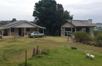 Chácara / sítio com 2 quartos à venda na br-476, rio abaixinho, araucária por r$ 375.000