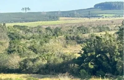 Chácara / sítio à venda na Do Bonilha, Centro, Tapes