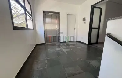 Sala comercial - ribeirão preto - vila tibério - região central