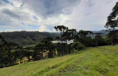 Terreno à venda, 260239 m² por r$ 1.000.000,00 - centro - doutor pedrinho/sc