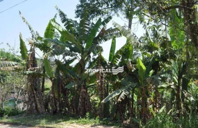 Terreno à venda, 420 m² por r$ 249.000,00 - fortaleza - blumenau/sc