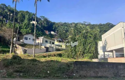 Terreno para alugar, 420 m² por r$ 2.522,64/ano - ribeirão fresco - blumenau/sc