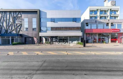 Loja para alugar, 1000 m² por r$ 19.016,67/mês - itoupava norte - blumenau/sc