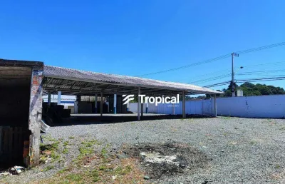 Galpão para alugar por r$ 15.000,00/mês - itoupava norte - blumenau/sc