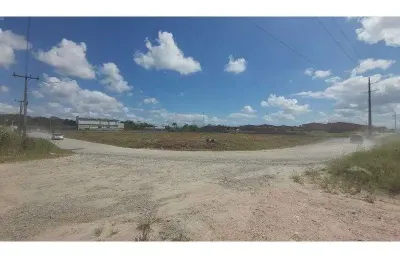 Terreno comercial para alugar na Araquari, Porto Grande, Araquari