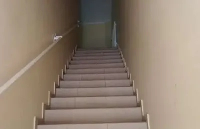 Apartamento com 1 quarto(s) e 1 banheiro(s) para alugar, 40 m² por r$ 1350 / mês