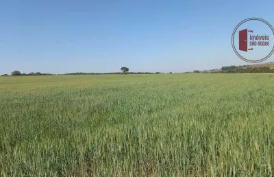 Vende-se fazenda de 38 alqueires altamente produtiva - avaré