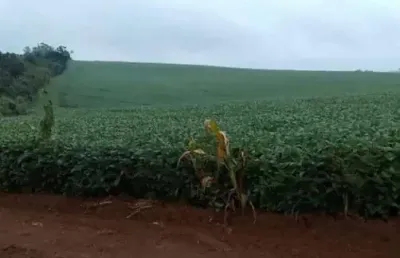 Excelente fazenda na região de itapetininga com 49 alqueires.