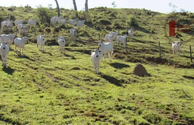 Fazenda à venda na Zona Rural, Salto de Pirapora 