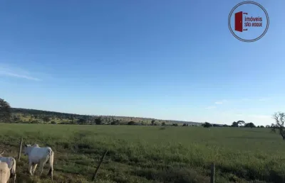 Fazenda à venda na Zona Rural, Bataguassu 