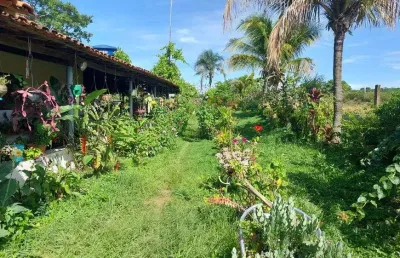 Chácara / sítio com 5 quartos à venda na Rodovia DF-260, Paranoá, Brasília