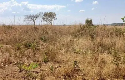 Chácara 6 hectares escriturada e registrada no padef !!! 650.000 !!!
