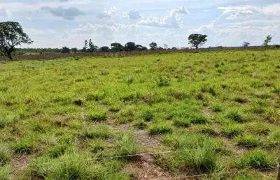 Vendo chácara escriturada df 130 2.6 hectares !!! 350.000 !!!