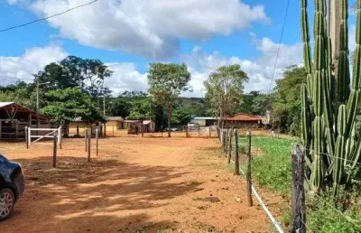 Fazenda 50 hectares planaltina de goiás !!! 2.500.000 !!!