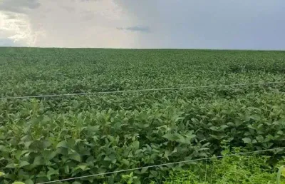 Sítio 19.54 hectares escriturado e registrado na região do padef !1.450.000 !