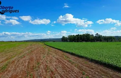Fazenda 115 hectares em planaltina df !!! 10.000.000 !!!
