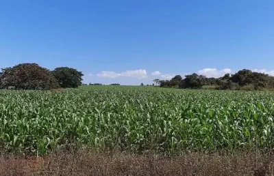 Chácara / sítio à venda na Área Rural, Área Rural do Paranoá, Brasília