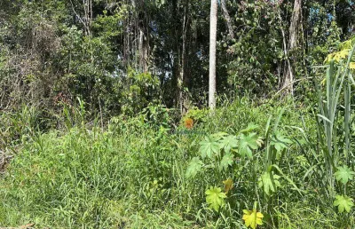 Terreno à venda, 384 m² por r$ 180.000,00 - rosa dos ventos - itapoá/sc