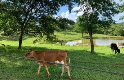 Escriturada há 100km de bsb com riacho gados aves peixes árvores frutíferas