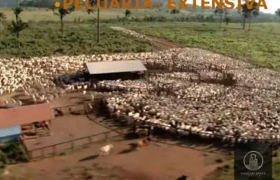 Fazenda à venda, 4270000000 m² por r$ 8.000.000.000 - nova marabá - marabá/pa