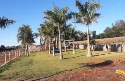 Terreno à venda, 2030 m² por r$ 1.720.000,00 - gleba fazenda palhano - londrina/pr