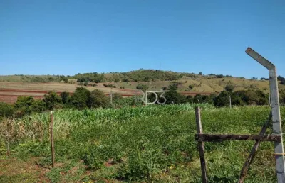 Chácara à venda, 1000 m² por r$ 160.000 - três bocas - londrina/pr