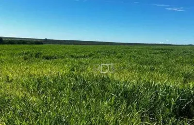 Fazenda à venda, 200 hectares, por r$ 5.000.000 - abadia de goiás - abadia de goiás/go