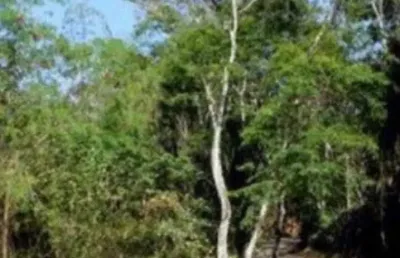 Terreno em condomínio fechado em aclive com área de 1000m2
