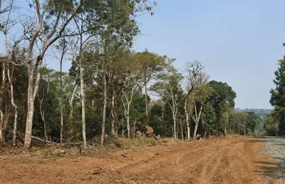 Terreno à venda na rua carlos preysler, lençol, são bento do sul por r$ 450.000