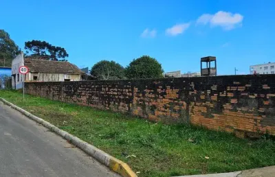 Terreno comercial à venda na rua benemérito ernesto lehmann, vila nova, mafra por r$ 459.000