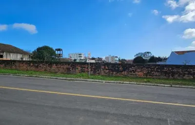 Terreno comercial à venda na rua benemérito ernesto lehmann, vila nova, mafra por r$ 1.595.000