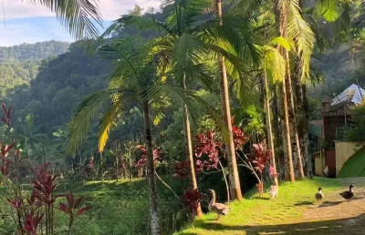 Chácara / sítio com 24 quartos à venda na Avenida Brasil, Zona Rural, Juquiá
