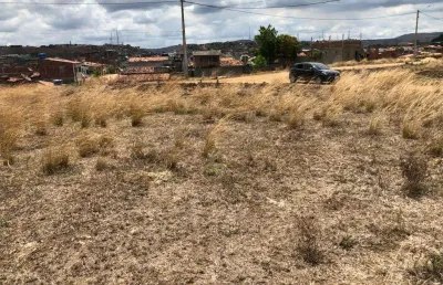 Terreno 12,00m x 25,00m em timbaúba, aceito automóvel, excelente localização