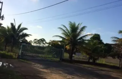 Ótimo terreno 9.000m2+galpão, 100% plano, guabiraba prox. da br 101, aceito carro