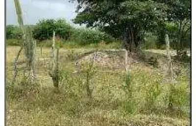Oportunidade única em goiana - pe | tipo: terreno | negociação: venda direta online  | situação: imóvel