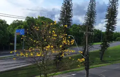 Sala comercial à venda na avenida padre cacique, --, praia de belas, porto alegre por r$ 471.648