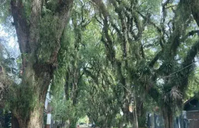 Terreno à venda na rua conselheiro xavier da costa, --, ipanema, porto alegre por r$ 640.000