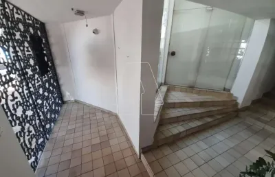 Casa com 3 quartos para alugar no Jardim Sumaré, Araçatuba 
