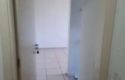 Apartamento no condomínio parque ápice em araçatuba/sp