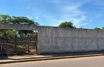 Terreno comercial para alugar no Petit-Trianon, Araçatuba 
