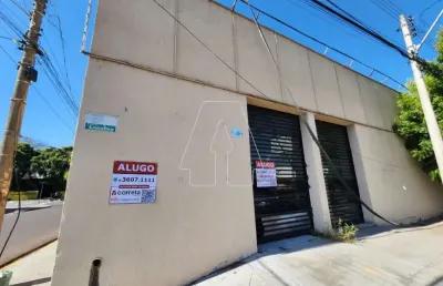Casa comercial para alugar no São João, Araçatuba 