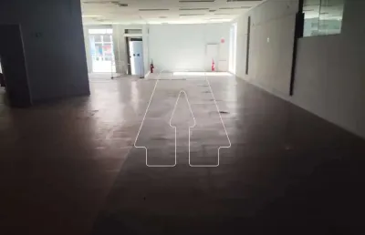 Salão comercial no bairro novo paraíso em araçatuba-sp
