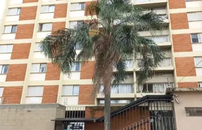 Apartamento com 2 quartos à venda na rua presidente bernardes, 1314, jardim flamboyant, campinas, 100 m2 por r$ 430.000