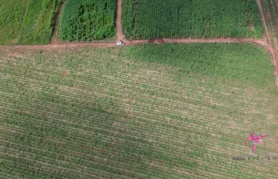Terreno à venda, 4340 m² por r$ 300.000,00 - área rural - pirassununga/sp