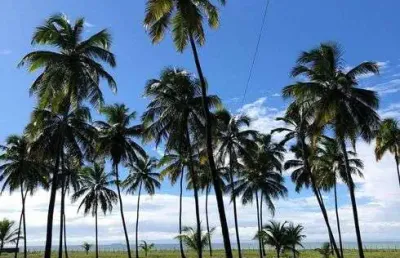 Venda de belíssima casa casa em barra de sirinhaem - pe